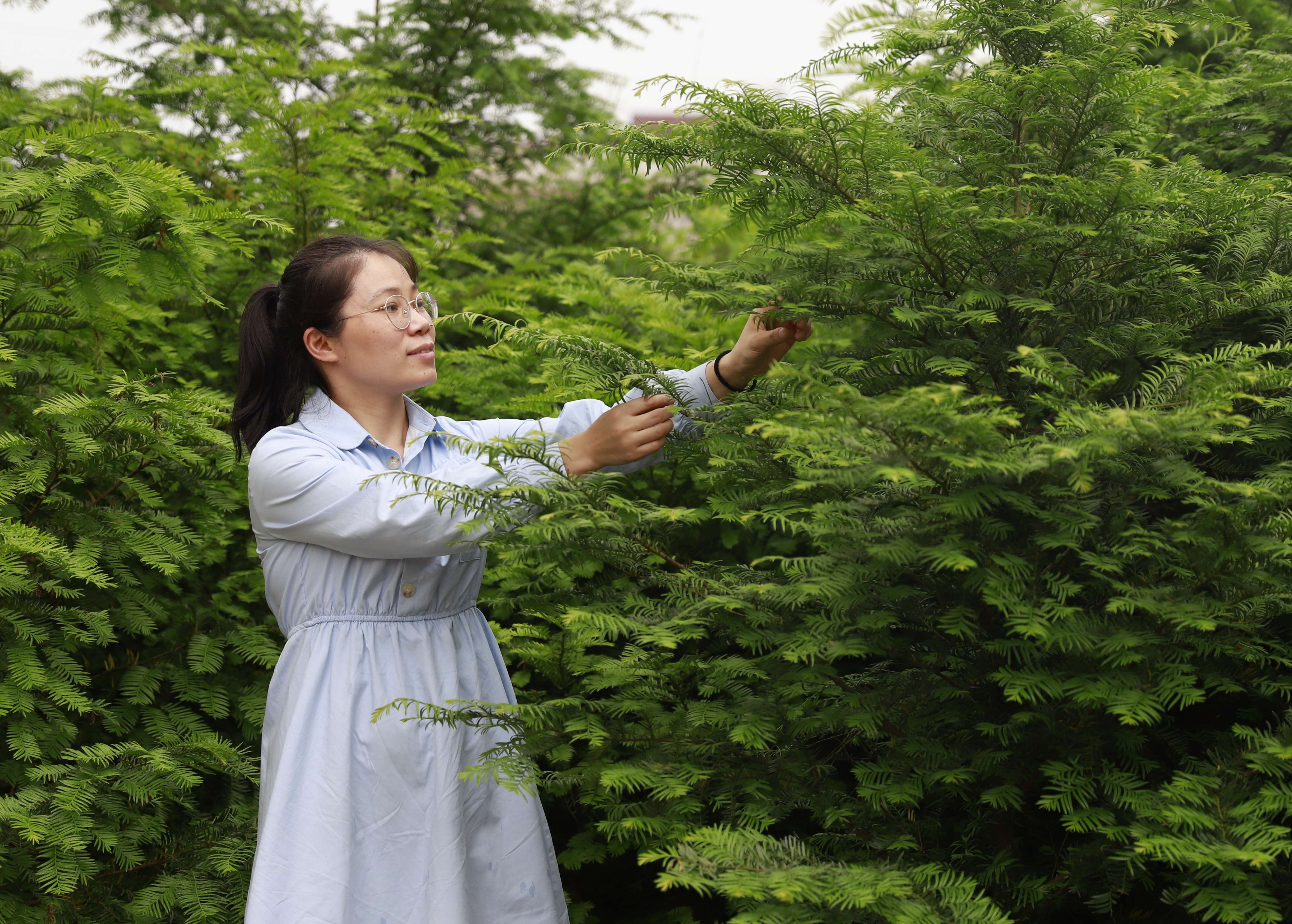 d1271229fa5e4c6c9ddd7954d7bbb8dc.jpg 1.jpg