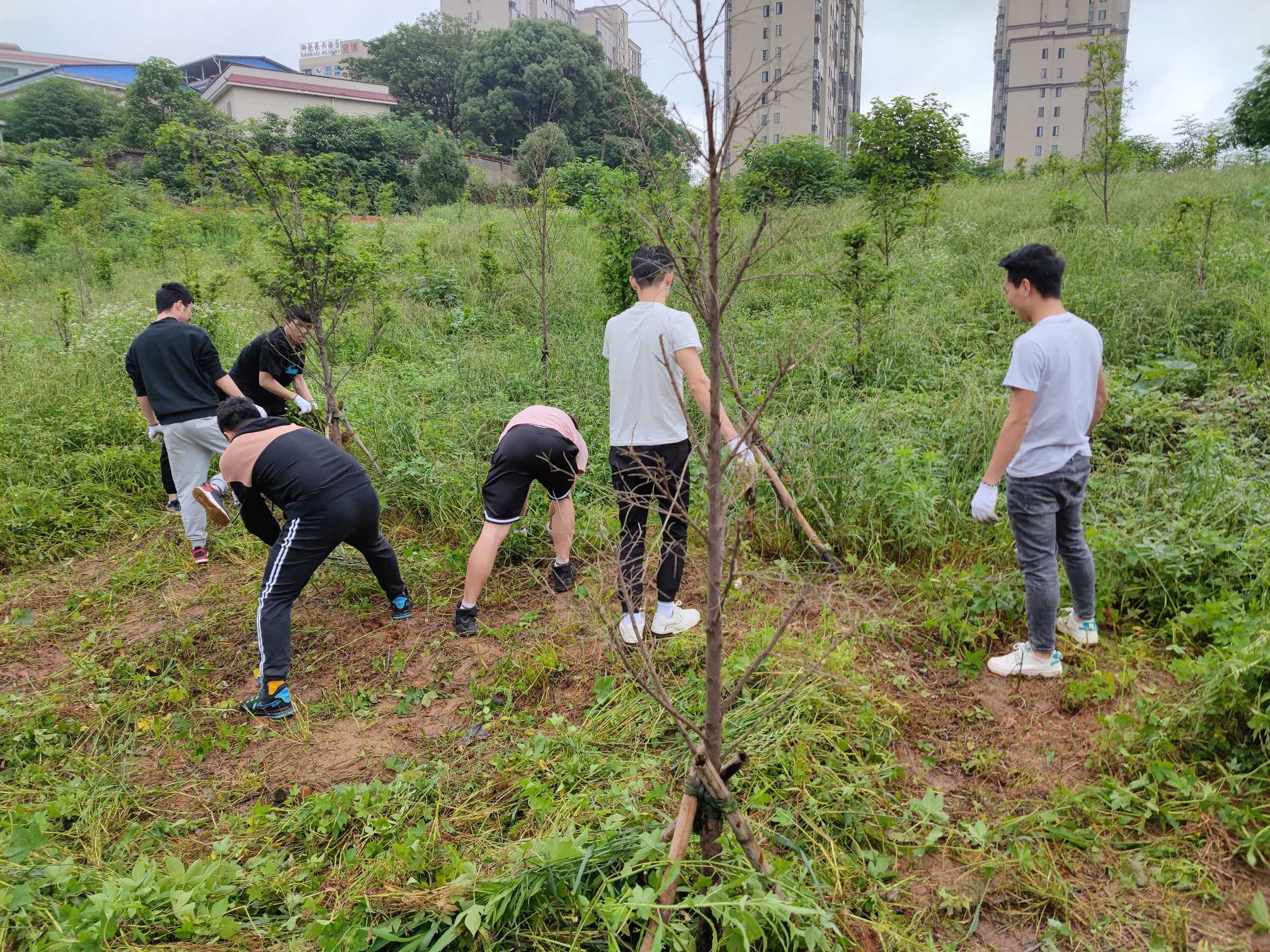 c88456ac6118495ab9d8bcba4193dffa.jpg QQ图片20210602221918.jpg