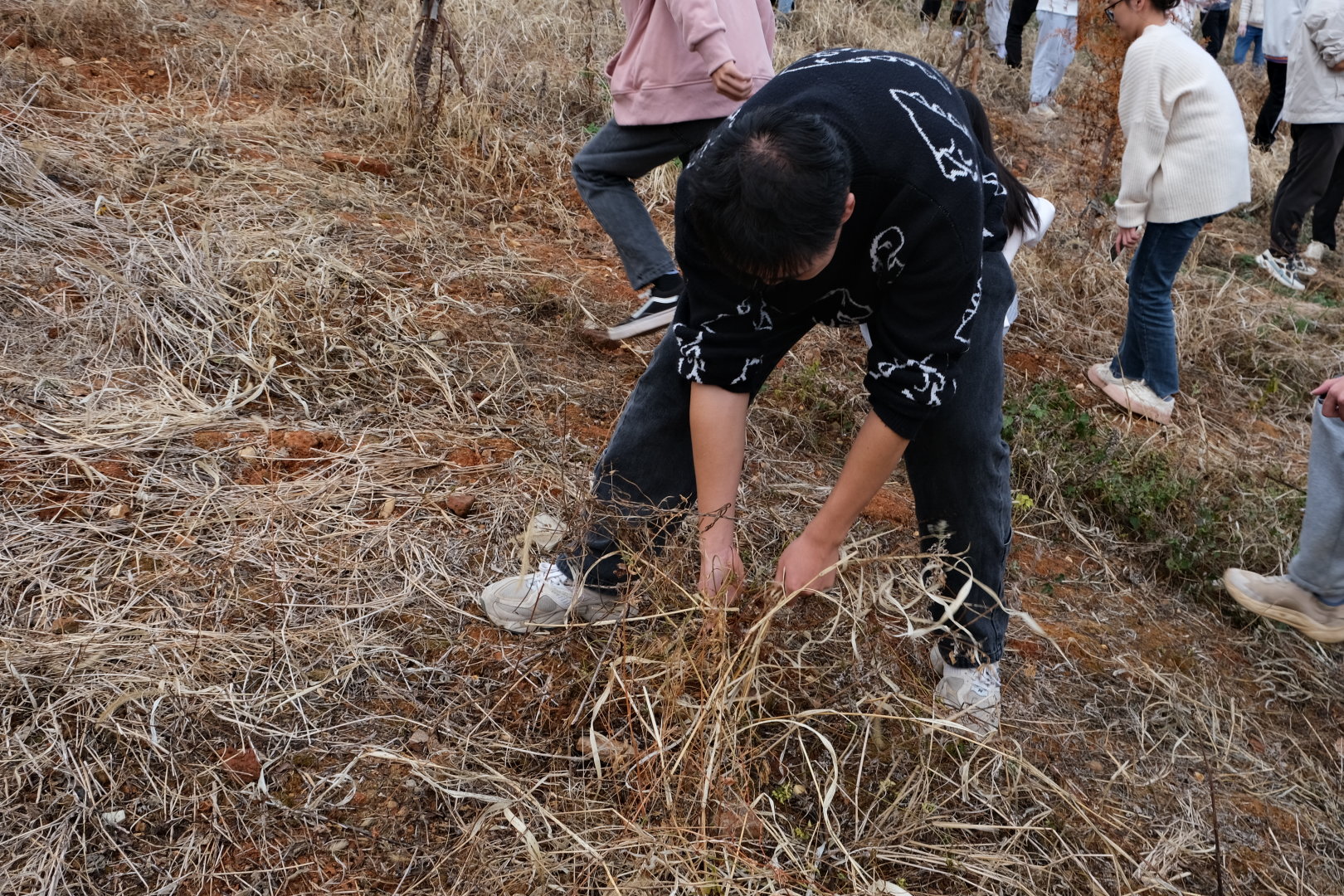 9196f8504ea94bb1b5736234cda2c172.jpg 9196f8504ea94bb1b5736234cda2c172.jpg