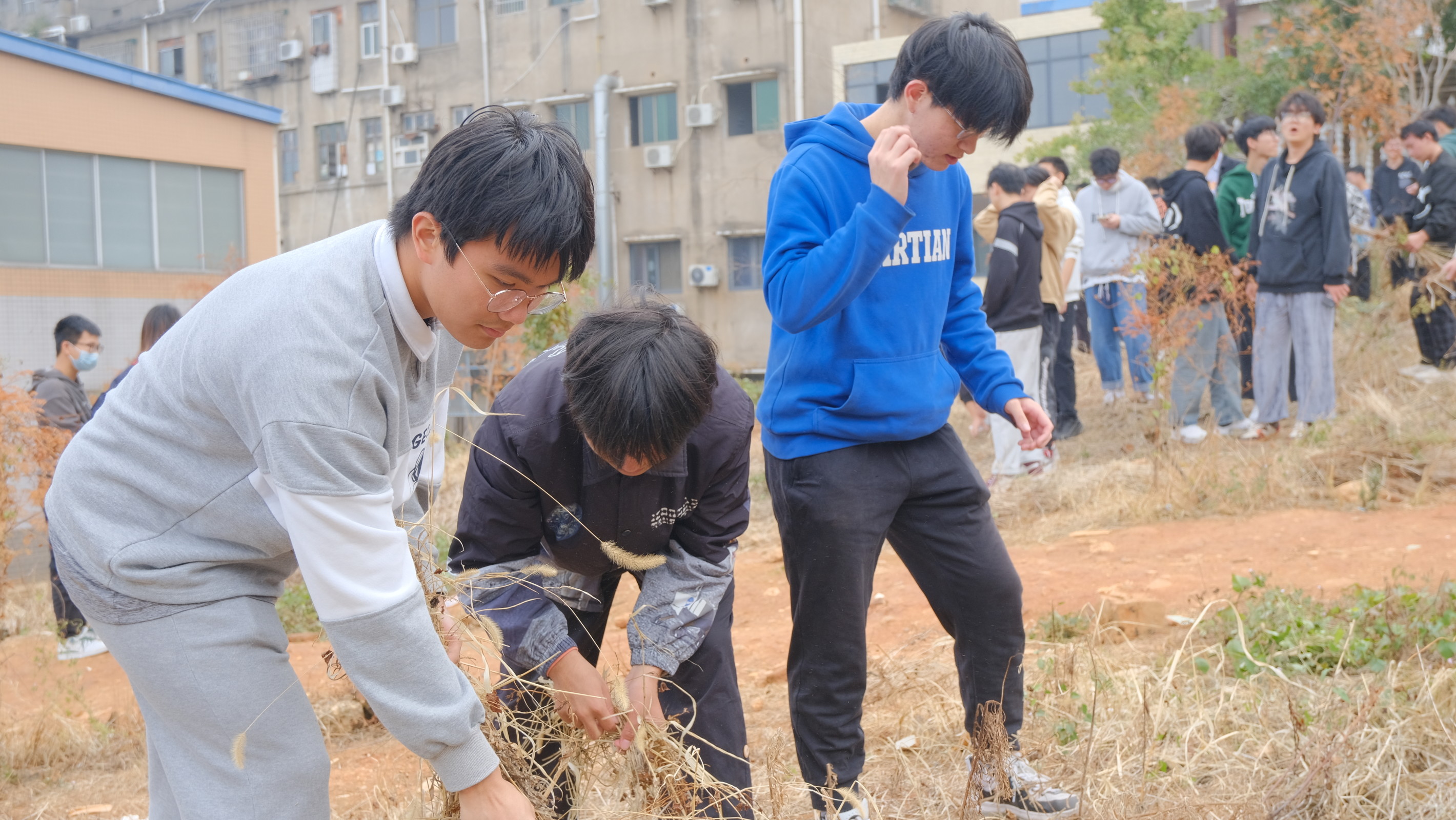 c4aa091f7b1d487e8ef89c6c363bd7fa.jpg c4aa091f7b1d487e8ef89c6c363bd7fa.jpg