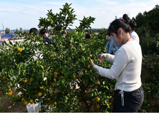 595c40260a9449b9b7772e556edd5cd3.png 595c40260a9449b9b7772e556edd5cd3.png